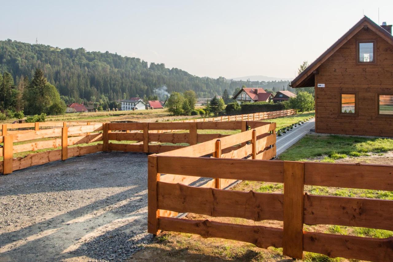 U Jana I Wita Villa Istebna Bagian luar foto