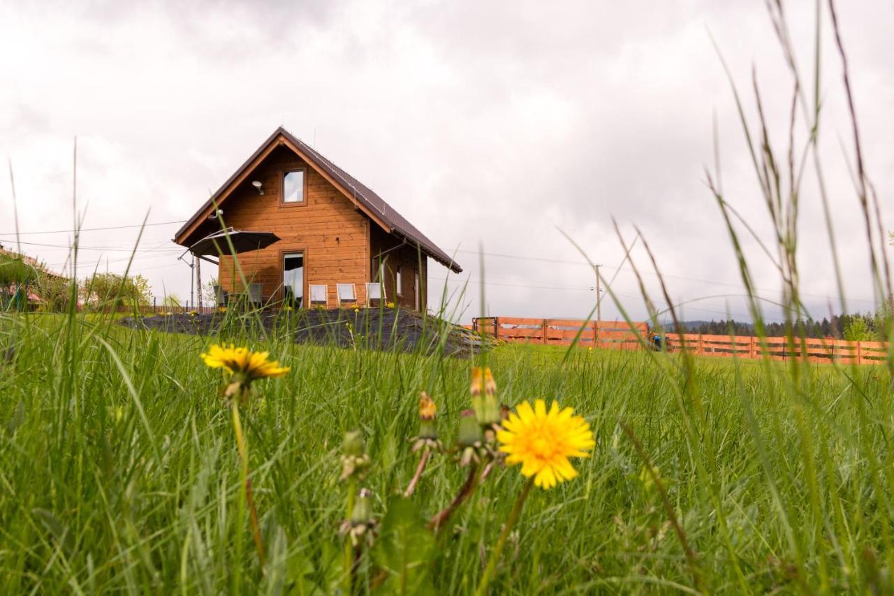 U Jana I Wita Villa Istebna Bagian luar foto
